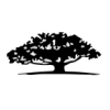 EMBRACE CHANGE ACQUISITION C