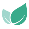 EVERGREEN CORP