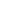 ARMSTRONG FLOORING INC COM WHEN ISSUED