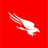 Crowdstrike Holdings Inc logo