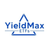 YieldMax NVDA Option Income Strategy ETF logo