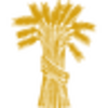 FMNB