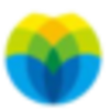 XNGSY